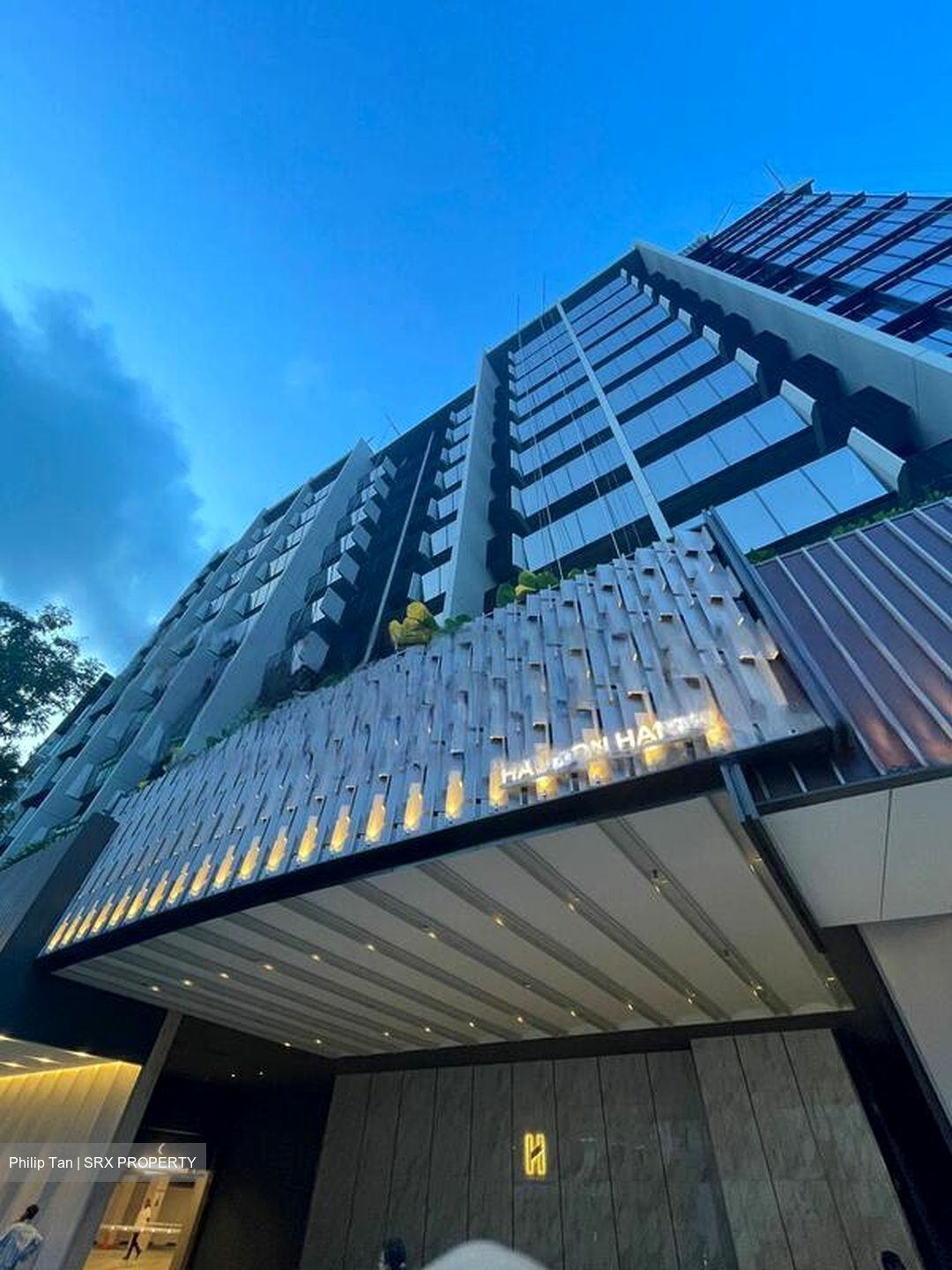 Haus On Handy (D9), Condominium #458956361